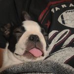 Elena Dodge - @dodge.elena - Instagram