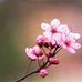 Lena Dunn - Facebook