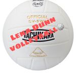 Lena Dunn Volleyball Girls - @volleyballelme - Instagram