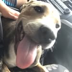 Lena Floyd☪️ - @lena_bean_1 - Instagram