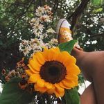 Lena Gallagher - @lenagallagher34 - Instagram