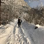 Lena Gilbert - @lenaanfromage - Instagram
