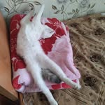 @lena_gress2 - Instagram