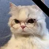 Lena Ha - @lenaha796 - TikTok