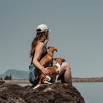 Lena, Hailey & Willy 🐾 - @twostrays - Instagram