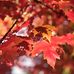 Lena Han - Facebook