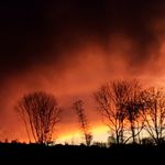 Lena Hauser - @lena_170408 - Instagram