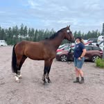 Lena Hedberg - @tinge73 - Instagram