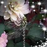 Lena Heimark - @lena_heimark - Instagram