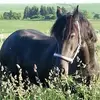 Lena Heime Geb Reimer - @lenaheimegebreime - TikTok