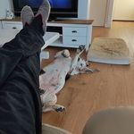 Charma - @len.ahendrix - Instagram
