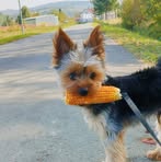 Lena Herbut - Facebook