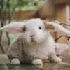 lena.hoffmann - @lena.hoffmann2 - TikTok