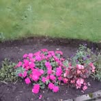 Lena Holmes - Facebook