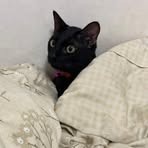 Lena Huang - Facebook