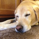 Lena Hyde - @mundehenryracer - Instagram