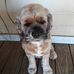 Lena Johnston - Facebook