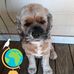 Lena Johnston - Facebook