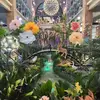 Lena Kan - @user197010309 - TikTok