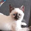 hi. - @lenakee62 - TikTok