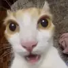 kiddlena - @kiddlena - TikTok