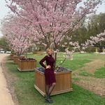 Лена - @elena.knox5555 - Instagram