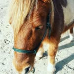 le_am_09 - @lenalamberty06 - Instagram