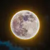 lenaleslie - @lenalentxbv - TikTok
