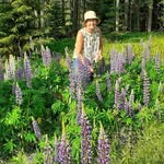 @lenalofgren2020 - Instagram