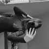 𝐋𝐞𝐧𝐚 - @lena_.luu - TikTok