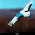 Lena MacDonald - Facebook