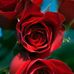 Lena Mae - Facebook