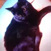 Lena - @lenamalcolmcasa - TikTok