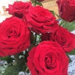 Lena Malm - @lenamalm67 - Instagram
