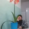 LENA MANN - @mannelena131974 - TikTok