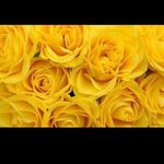 Lena Martinez - @lena.martinez.7773631 - Instagram