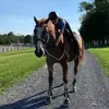 Lena Mason - @lenamason_952 - TikTok