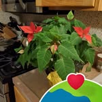 Lena Mccarthy - @lenamccarthy51 - Instagram