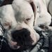 Lena McCollum - Facebook