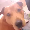 lena - @lenameier423 - TikTok