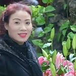 Lê Ngọc Bích - @lenangocbich1964 - Instagram