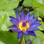 lena ning - @lena_ning_glotek - Instagram