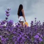@lenanorth_89 - Instagram
