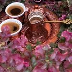 Lena Obeid - @lena.obeid.169 - Instagram