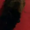 Lena - @lenapeters10 - TikTok
