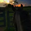 Lena Peters - @lena.peters8 - TikTok