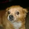 Leena Pratt - @user3931106143440 - TikTok