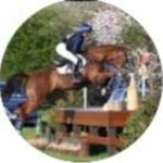 Lena Proctor - @lena.proctor.eventing - Instagram