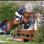 Lena Proctor - @lenaproctoreventing - Instagram