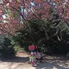 Lena Schell - @user37465934 - TikTok